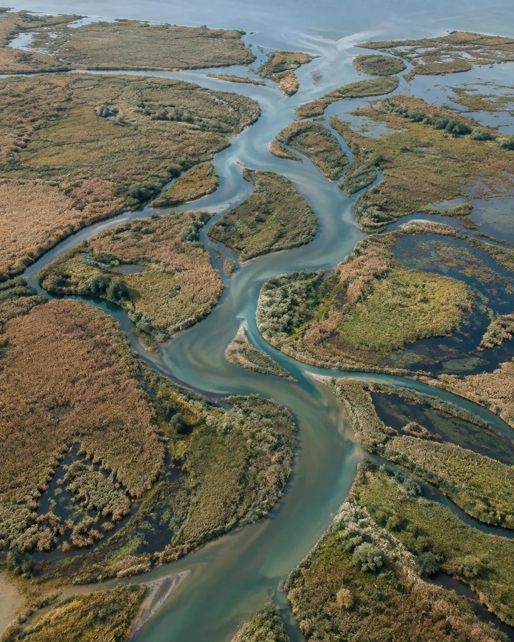 River delta wetland viewed from above